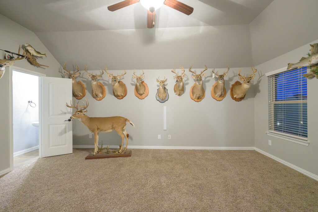 Real Estate Photography: Room Transformation - Before and After. Witness the removal of deer and fish mountings, creating a decluttered and inviting space.