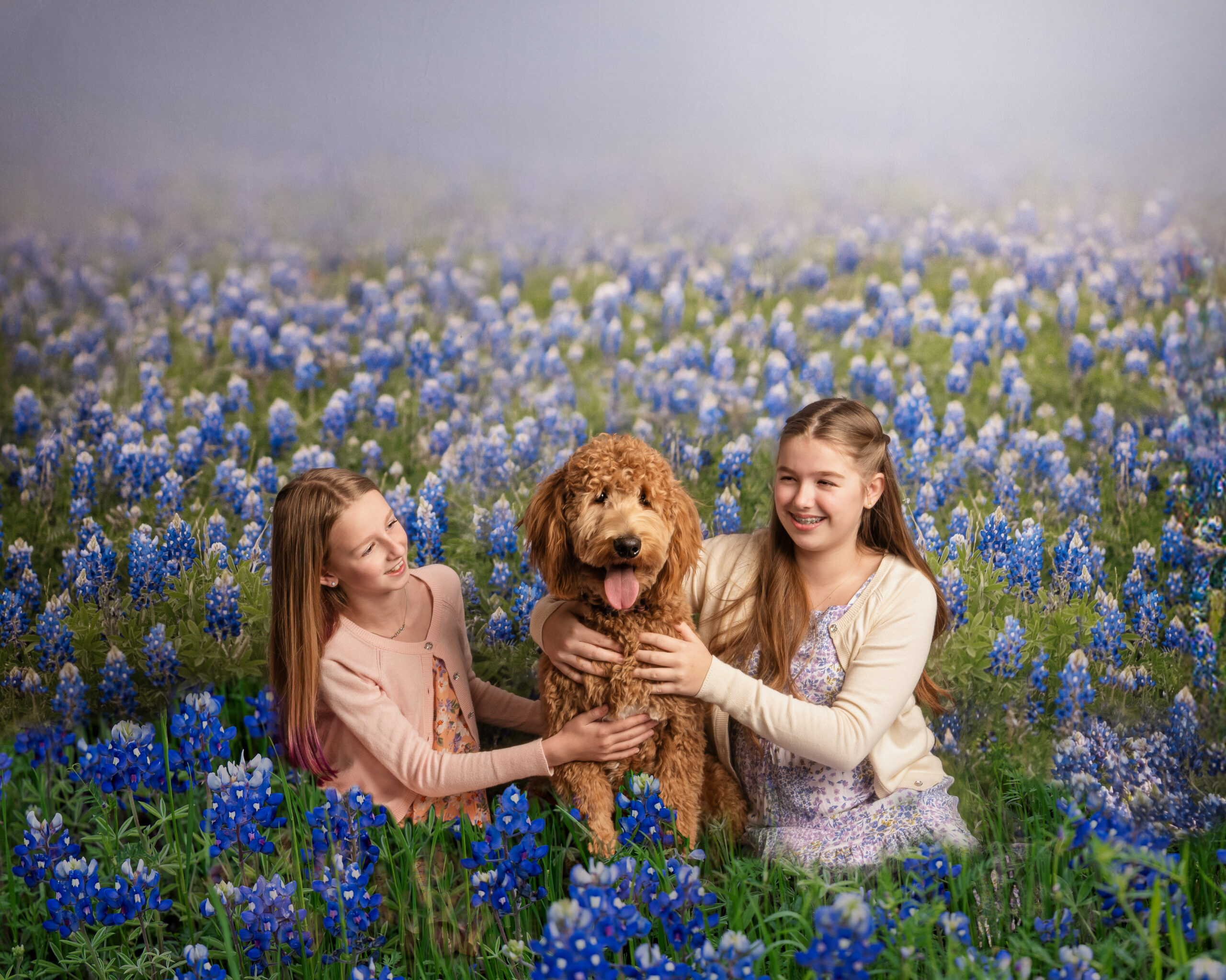 Bluebonnet portraits without the hassle! Two smiling girls sitting in a field of bluebonnets with their fluffy goldendoodle, captured in a beautifully lit studio session designed to look like an outdoor bluebonnet scene.